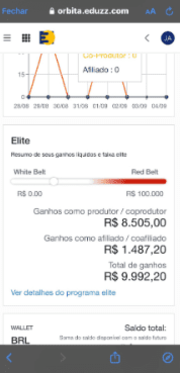 Captura de tela 2024-08-09 154345