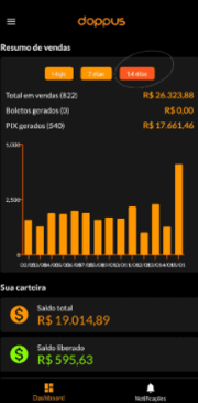 Captura-de-tela-2024-08-09-154647-2-1.png